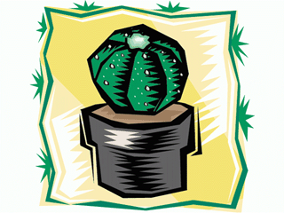 cactus151212.gif
