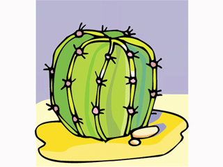 cactus181312.gif