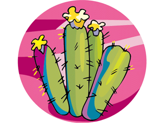 cactus21312.gif