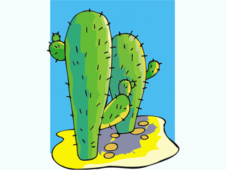 cactus271312.gif