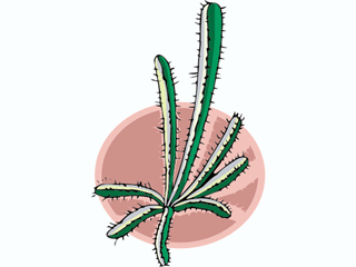 cactus301212.gif