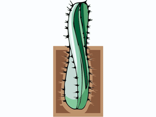cactus311212.gif