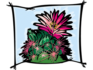 flowercactus2.gif