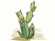 cactus19.gif