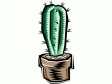cactus21212.gif