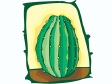 cactus22.gif
