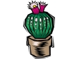 cactus31212.gif