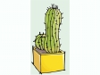 cactus31512.gif