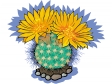cactus41412.gif