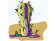 cactus6.gif