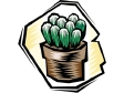 cactus61212.gif