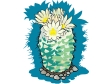 cactus61412.gif