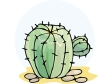 cactus61512.gif
