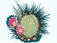 cactus71412.gif