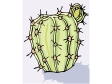cactus81412.gif