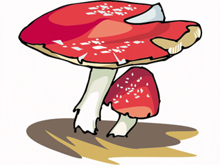 mushroom12.gif