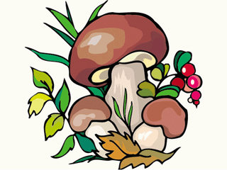 mushroom2.gif