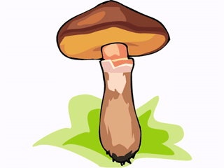 mushroom25.gif