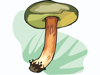 mushroom27.gif