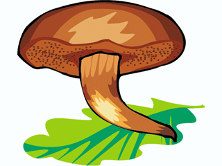 mushroom43.gif