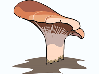 mushroom52.gif