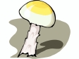 mushroom11.gif