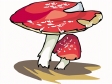 mushroom12.gif