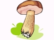mushroom19.gif