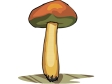 mushroom31.gif