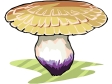 mushroom34.gif