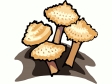 mushroom48.gif