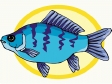 fish123.gif