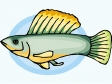 fish151.gif