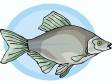 fish155.gif
