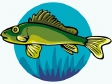 fish249.gif