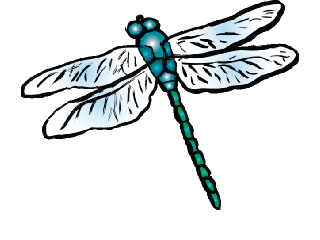 bluegreen_dragonfly.gif