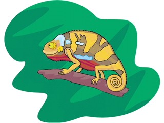 chameleon10.gif