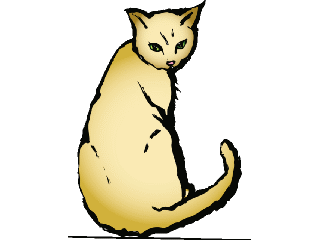 yellow_cat.gif