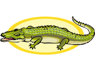 alligator4.gif