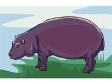 hippopotamus.gif