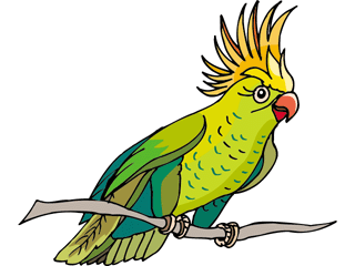 parrot13.gif