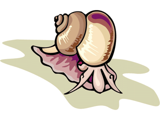 snail3.gif