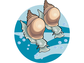 snail4.gif