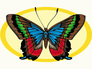 butterfly20.gif