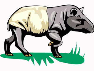 tapir.gif