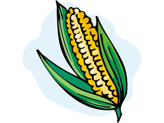 corn2.gif