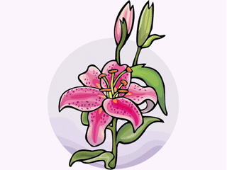 orchid1212.gif