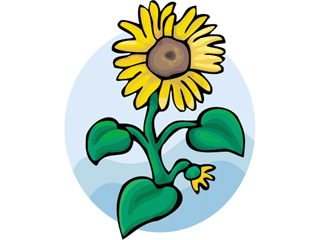 sunflower1312.gif