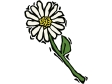 daisyflower.gif