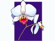 orchid6.gif